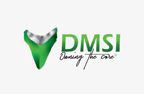 DMSI Logo
